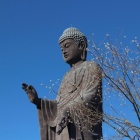 週刊東大軟庭部 第194号