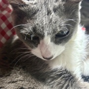 大きな地震でしたが、無事です。