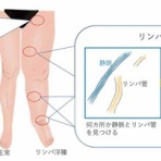 ささやかな楽しみがある暮らし