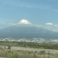 桜、桜、桜🌸そして富士山🗻