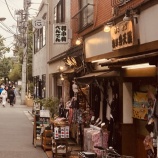 『自分の道が見つかれば茨の道でも命は燃やせる vol.4431』の画像