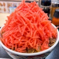 牛丼に紅しょうが乗せる良さがわからん
