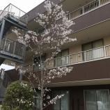 『職員面談とPCRの結果連絡と。』の画像