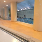 Vascular Sonographerのblog