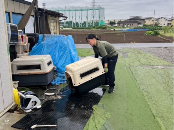 今日はレスキューになりました💦