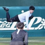 一緒に阪神タイガースを応援しよう！