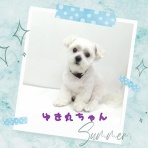 日々、ＪＡＭにあり