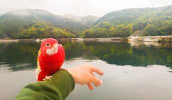 海賊王に憧れて、火の鳥と一緒にヨットで日本一周してるバカだけど【中部・近畿】