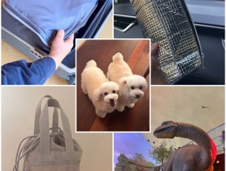 旅行に持って行ってよかった無印アイテム、これ便利だった（暑さ＆UV対策にも）