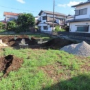 昆虫　庭のエンマコウロギ　隣の空き地から追い出されたようだ