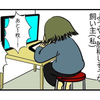 執筆中の突然死だけは回避したい飼い主(私)