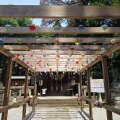 間々田八幡宮の風鈴