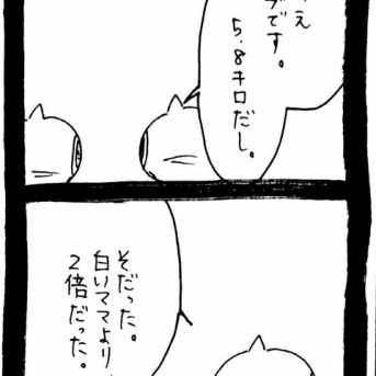 赤ちゃん自認ねこ13