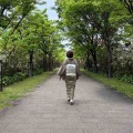 郡上紬と紙布の帯でニトリへ