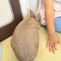 2025年7月の活動報告