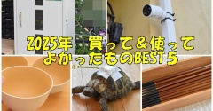 【2025年最後の楽天スーパーSALE】今年買って&使ってよかったものBEST５♬(PR含）