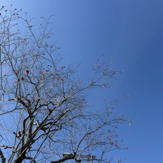 一般社団法人契山館・大阪支部ブログ　　　～死後の世界を真面目に考える会～