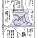 【376】若紫巻と醍醐寺(源氏物語)