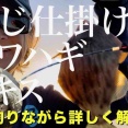 【10.3須磨のキスとカワハギ釣り】キスは好調！カワハギは微妙？