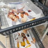 ¥Ç¥³¥Þ¥¹³«»Ï¡£