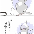 クスィーの安全地帯