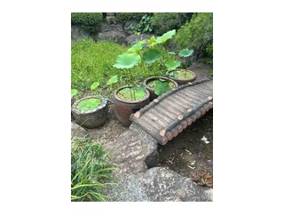 曇り