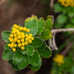 楽のデジカメ散歩