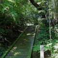細川家墓所妙解寺跡(北岡自然公園)
