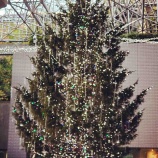 『カラヤン広場のツリー点灯』の画像