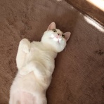 moroのハンドメイド