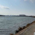 淀川大好きのウイングばか一代