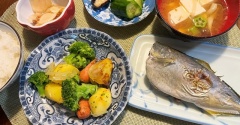 ねこちゃんホンポに掲載されました＆お魚は特売で