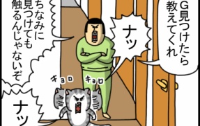 ずっと私の相棒