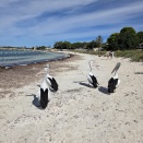 パースに来ています！