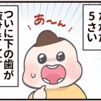 たきもとキウイの毎日ふりまわされてます