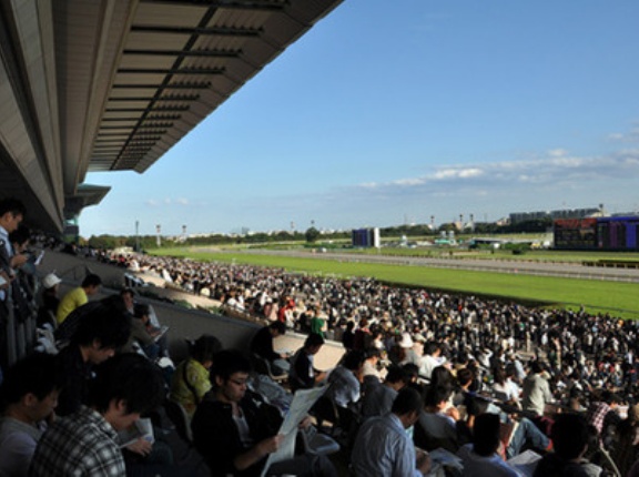 競馬場にいるカメラ集団が凶暴化して撮り鉄と変わらなくなってるらしい