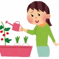 【悲報】大事に育ててたトマトの鉢植盗まれてるんやけど