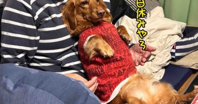 紅葉🍁に行こうよう。