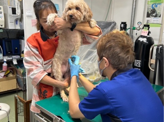 今日もクリニックでは、沢山の診察があります。