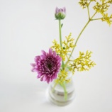 『小さな花を小さく飾るとかわいい』の画像