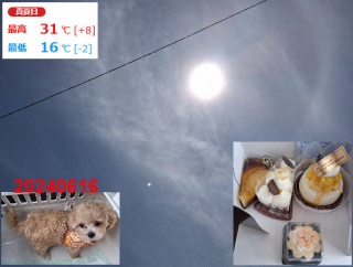 モコ、我が家に来てくれてありがとう！！