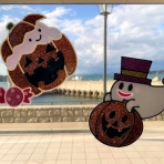 南紀白浜「ミスオーシャンダイビングサービス」今日の海ログ