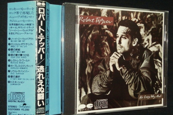 HR/HM廃盤ハンターの猟盤日記 - メロディックロック/SSW/AOR