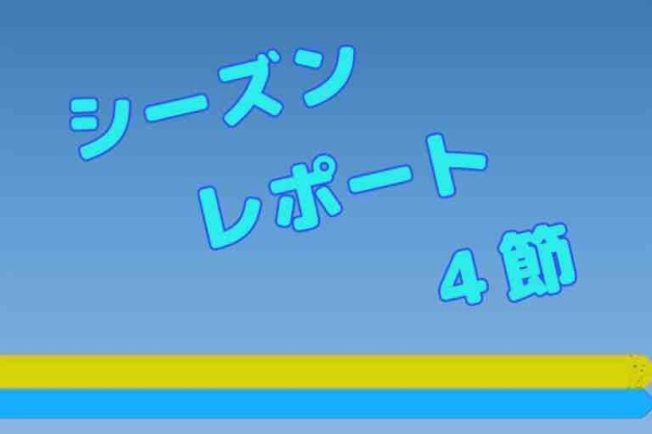 Flue Schale フリシャーレ 横浜ｆｃがシャーレを掲げる迄の轍