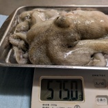�ؽ��������롪���٤β���