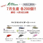 Office Eucalyptus New item