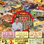 爬虫類倶楽部ファームブログ