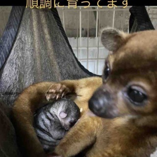 大型熱帯魚屋  ZEEBRA