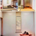 さいたま市大宮盆栽美術館「山水涼景・水石の世界」
