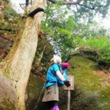 �ؽ������Ȼ��ϥ����󥰡٤β���